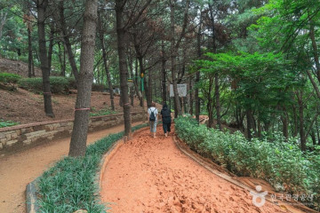 서울교통공사 모란차량사업소 여행 추천 - 메고지고