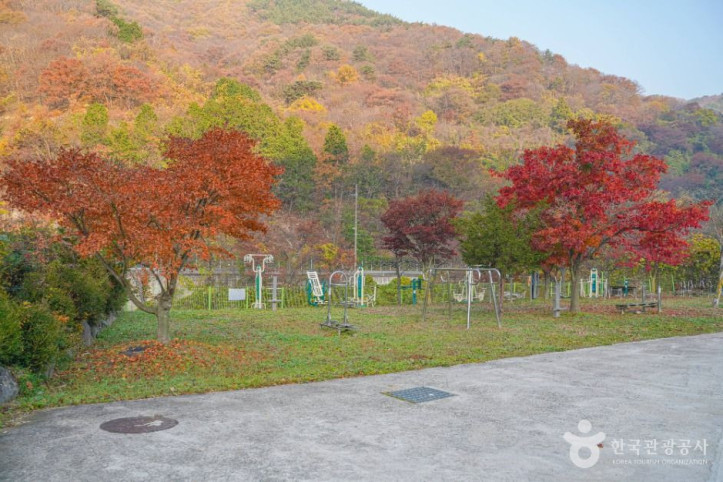 배내골 휴 마을 여행 추천 - 메고지고