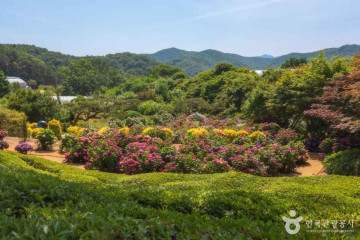 광주 조선백자 요지 여행 추천 - 메고지고