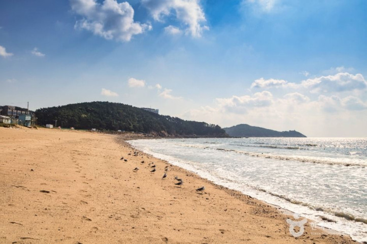 왕산해수욕장 여행 추천 - 메고지고