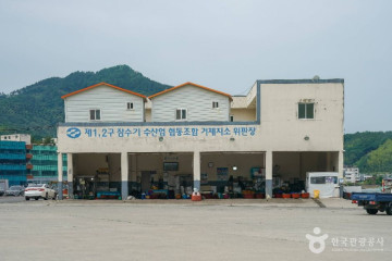 물안해수욕장 여행 추천 - 메고지고