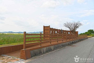 고천암 자연생태공원 여행 추천 - 메고지고