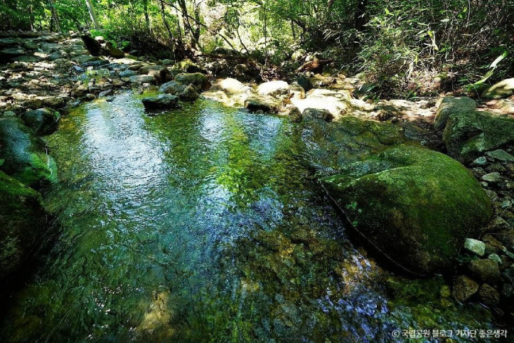 지리산국립공원(하동) 여행 추천 - 메고지고