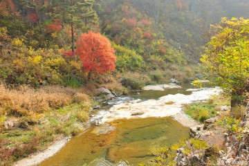 화암동굴 (강원고생대 국가지질공원) 여행 추천 - 메고지고