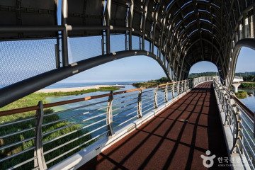 울진항 여행 추천 - 메고지고
