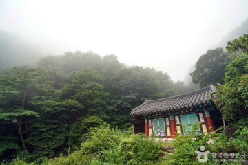 수선사 여행 추천 - 메고지고