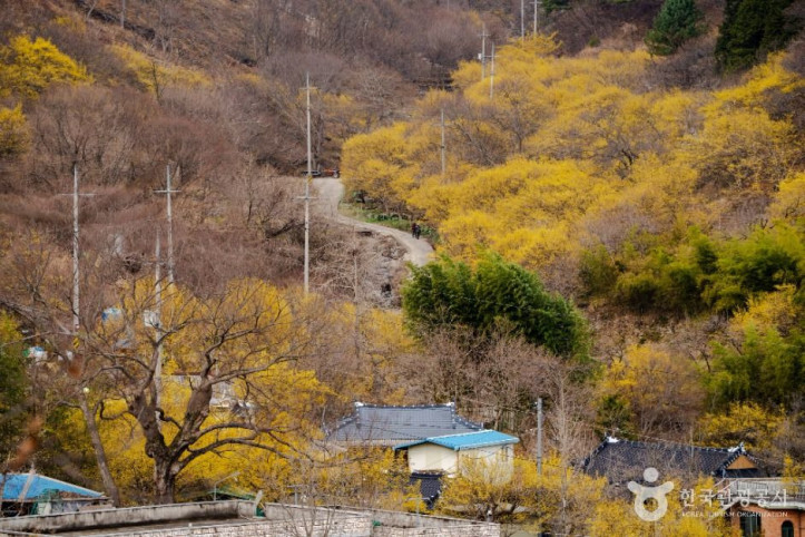 현천마을 여행 추천 - 메고지고