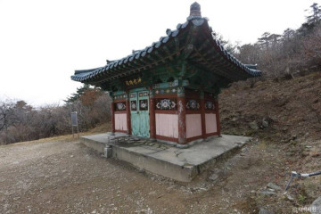 태백시 반려동물 놀이터 여행 추천 - 메고지고