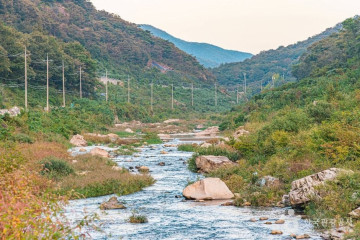 장선천 여행 추천 - 메고지고