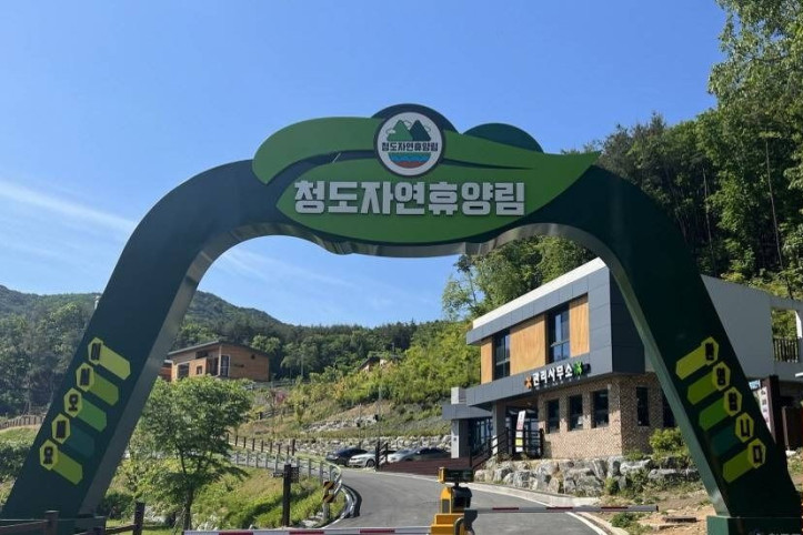 청도자연휴양림 여행 추천 - 메고지고