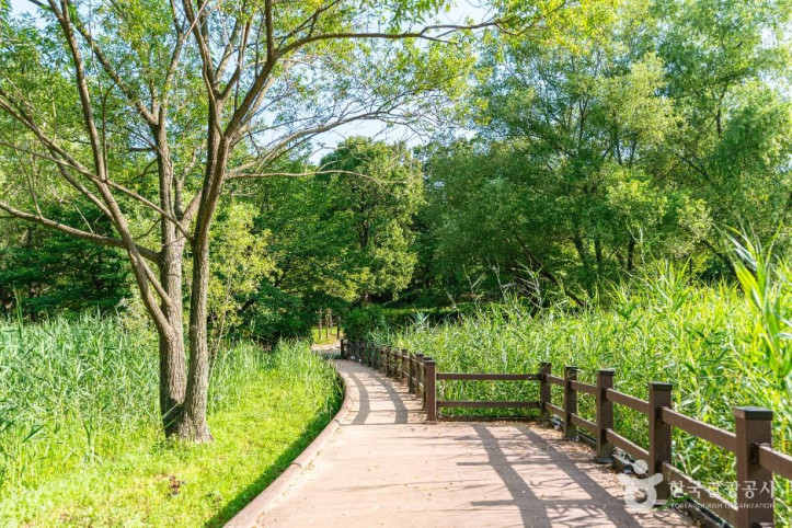안곡습지공원 여행 추천 - 메고지고