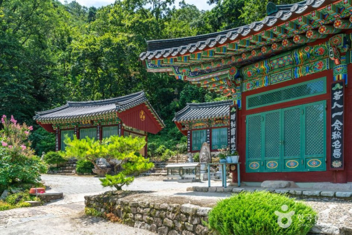 청룡사(상주) 여행 추천 - 메고지고