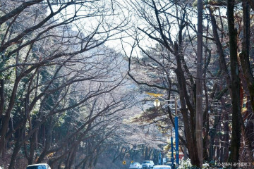 진해드림로드 여행 추천 - 메고지고