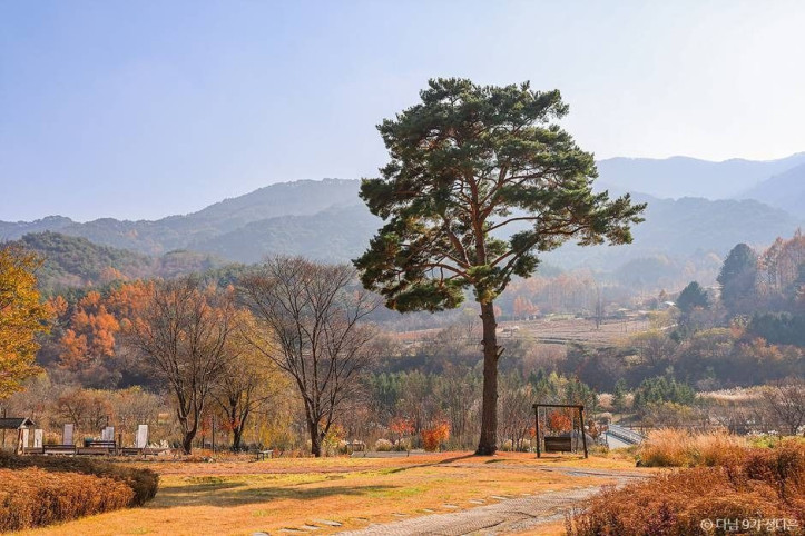 국립백두대간수목원 여행 추천 - 메고지고