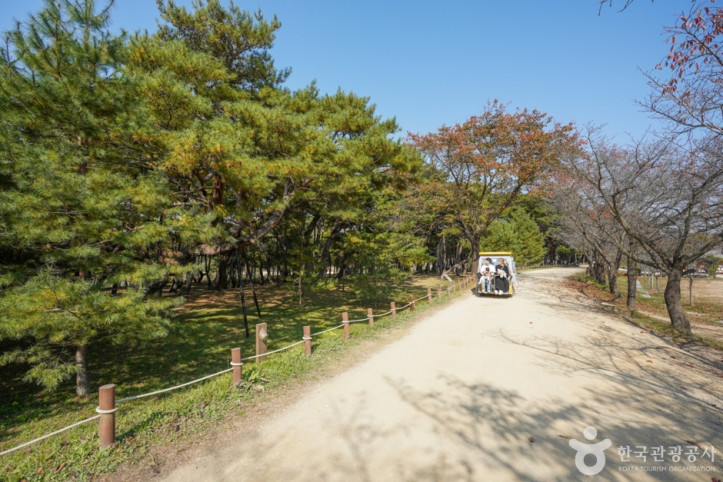 만송정 숲 여행 추천 - 메고지고