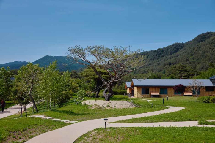 오대산 자연명상마을 옴뷔 여행 추천 - 메고지고