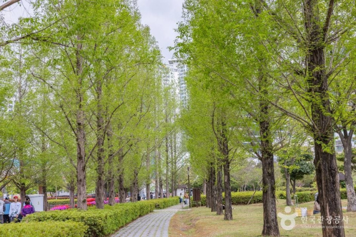 부산시민공원 여행 추천 - 메고지고
