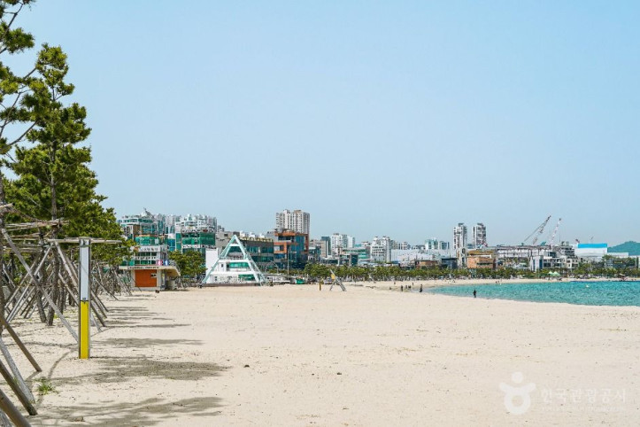 일산해수욕장(울산) 여행 추천 - 메고지고