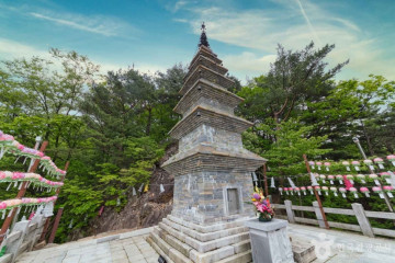 만항재 여행 추천 - 메고지고