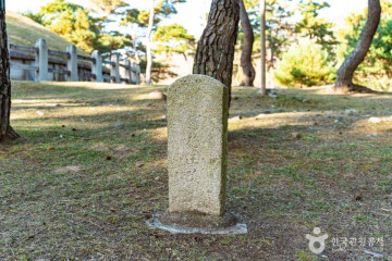 보문숲머리먹거리촌 여행 추천 - 메고지고