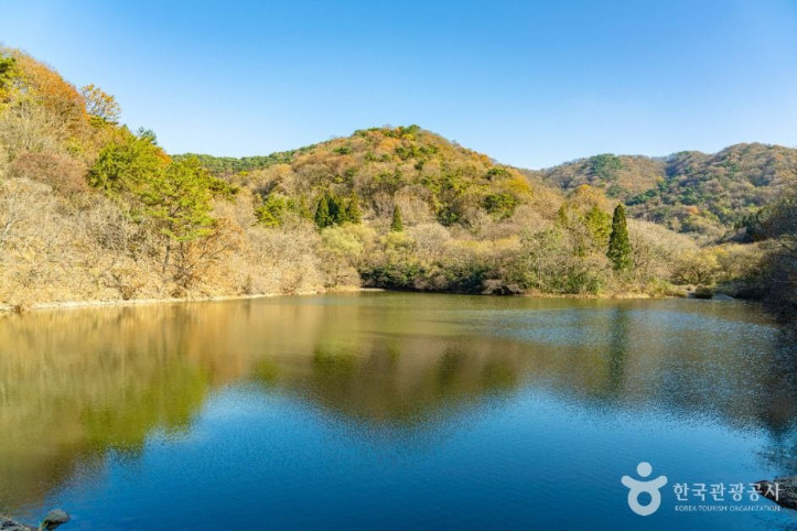 세량지 여행 추천 - 메고지고