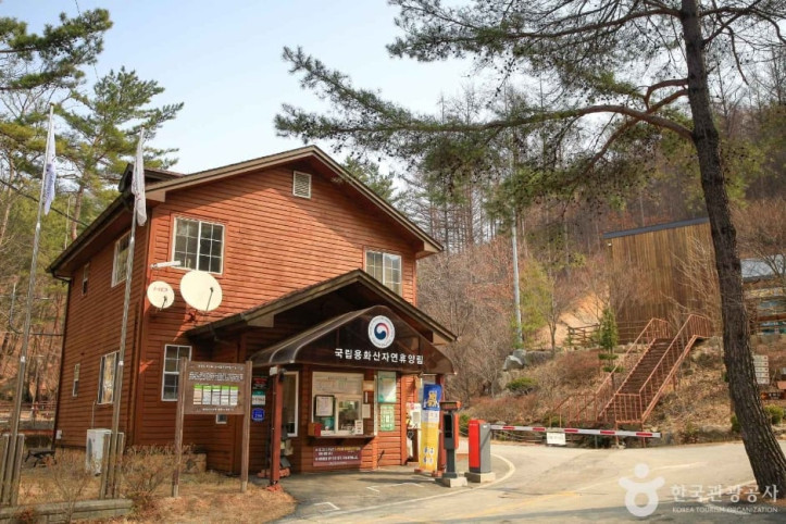 국립 용화산자연휴양림 여행 추천 - 메고지고