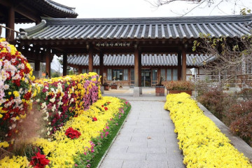 가야금산조테마공원 여행 추천 - 메고지고