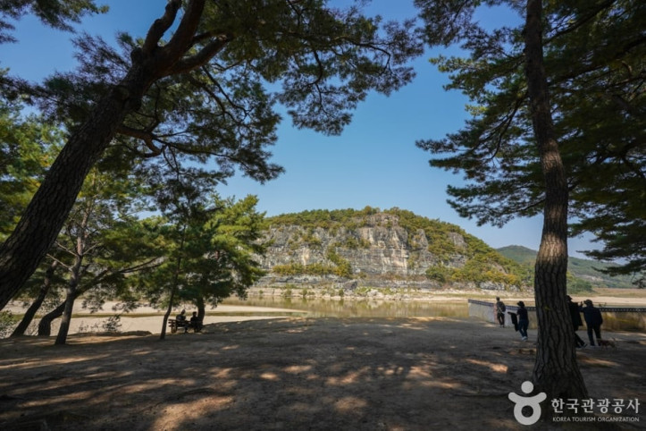 만송정 숲 여행 추천 - 메고지고