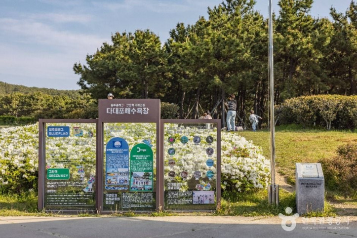 다대포해수욕장 여행 추천 - 메고지고
