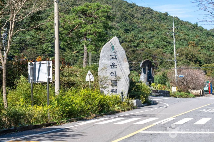 고운식물원 여행 추천 - 메고지고