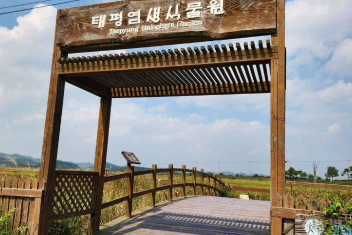 태평염생식물원 여행 추천 - 메고지고