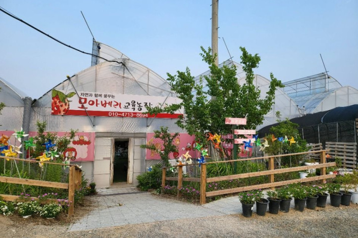 모아베리교육농장 여행 추천 - 메고지고