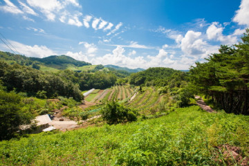수하계곡(평창) 여행 추천 - 메고지고