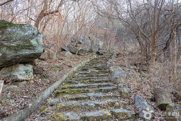 축령산 여행 추천 - 메고지고