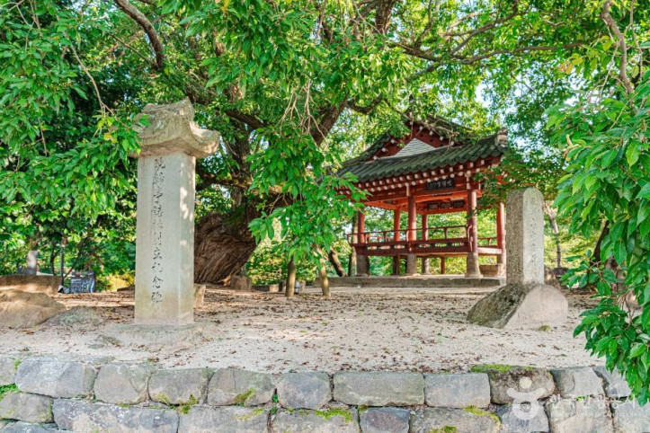 만귀정 여행 추천 - 메고지고