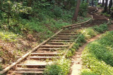 매헌시민의 숲 여행 추천 - 메고지고