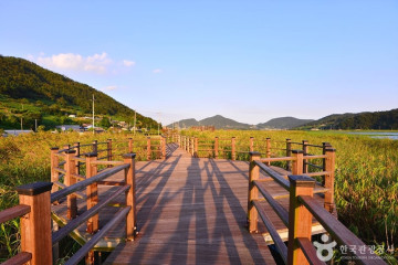 여수 갯벌 노을마을 여행 추천 - 메고지고
