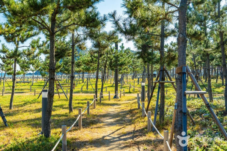 기성항 여행 추천 - 메고지고