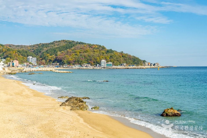 영덕 해안도로 드라이브 여행 추천 - 메고지고