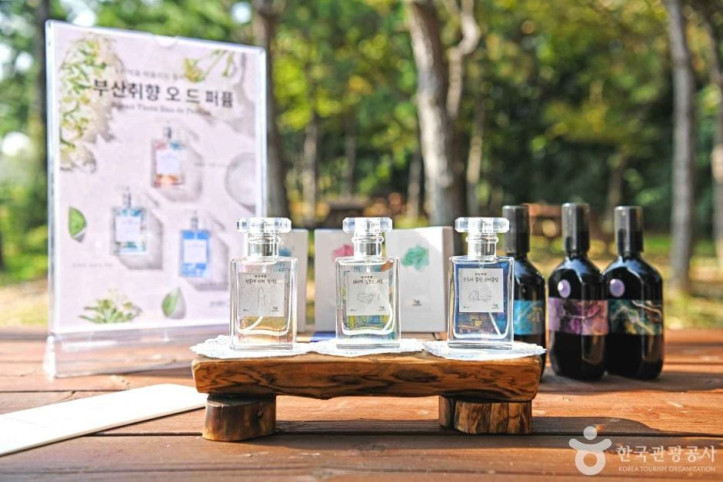 그런고로 여행 추천 - 메고지고