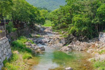 국립청도숲체원 여행 추천 - 메고지고