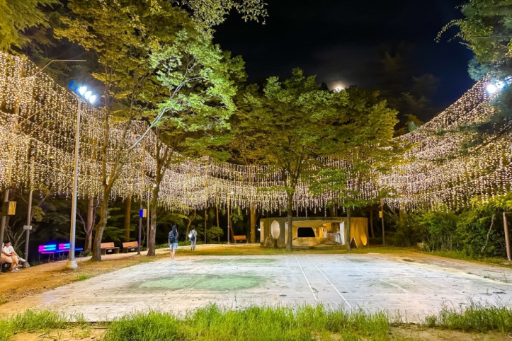 사직 빛의 숲 여행 추천 - 메고지고