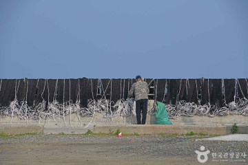 송석항 여행 추천 - 메고지고