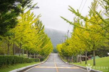 고헌산(울산) 여행 추천 - 메고지고