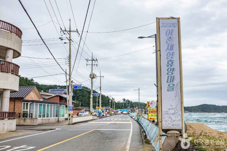 거일1리 어촌체험마을 여행 추천 - 메고지고