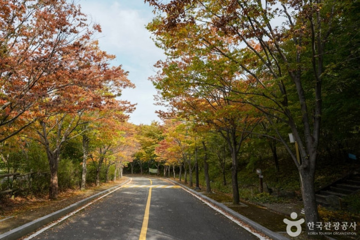 경상북도수목원 여행 추천 - 메고지고