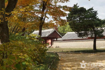 서순라길 여행 추천 - 메고지고