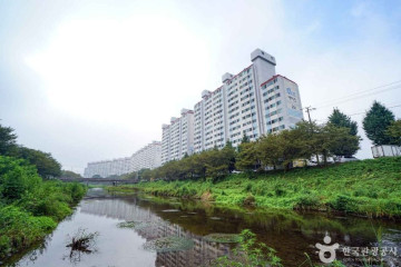 함안 영동리 회화나무 여행 추천 - 메고지고