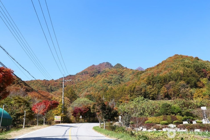 덕유산국립공원(남덕유분소) 여행 추천 - 메고지고