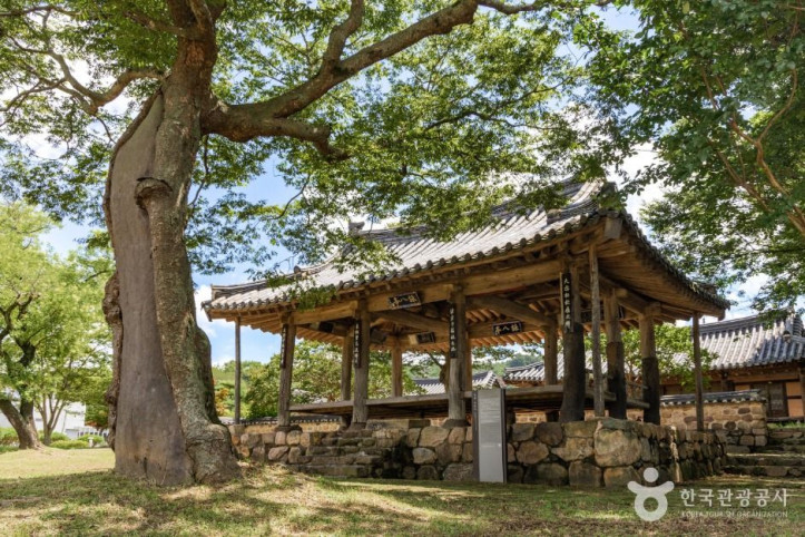 영팔정 여행 추천 - 메고지고